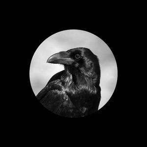 国模人体自慰大尺度裸体
